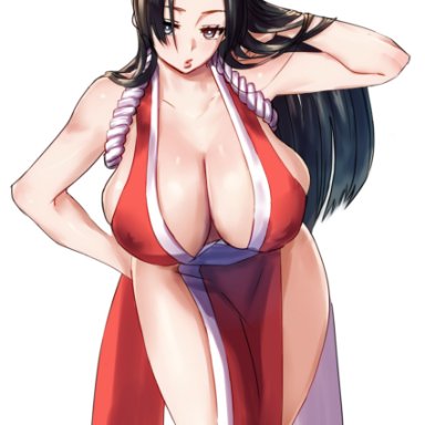 fatal fury, king of fighters, one piece, boa hancock, mai shiranui (cosplay), kuanero, 1girls, bare shoulders, big breasts, black hair, breasts, cleavage, clothing, cosplay, eyelashes