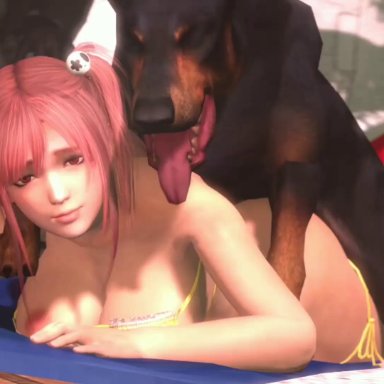 dead or alive, honoka (doa), artist request, 1animal, 1girls, 2boys, ambiguous penetration, areola slip, areolae, big ass, big breasts, big penis, bikini, bikini aside, breasts