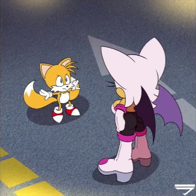 sonic (series), sonic battle, rouge the bat, tails, hyoumaru, bat, fox, humor, mating dance, older female, younger male, animated, meme, mp4, sound