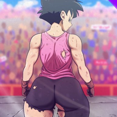 dragon ball, dragon ball z, videl, d-art, 1girls, ass, audience, big ass, big butt, black hair, bubble ass, bubble butt, butt, competition, dat ass