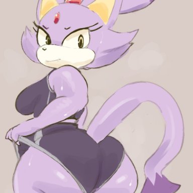 sonic (series), blaze the cat, kiseff, 1girls, anthro, ass, big ass, big butt, bloomers, breasts, cat ears, cat tail, female, female focus, female only