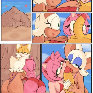 sonic (series), sonic the hedgehog (series), amy rose, rouge the bat, tails, pinkfalcon, 1boy, 2girls, bat, beach, fox, hedgehog, older female, younger male