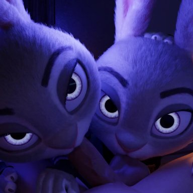 zootopia, judy hopps, wigfritter, blowjob, furry, looking at viewer, pov, animated, tagme, video