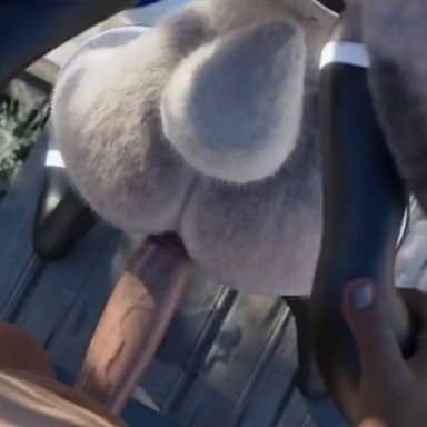 judy hopps, pochemu, furry, rabbit, sex, animated, sound, tagme, video