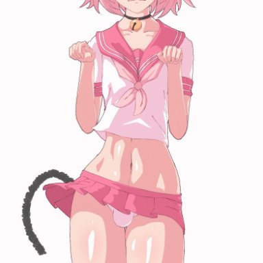 fate/grand order, fate (series), astolfo (fate), theobrobine, 1boy, bangs, bell collar, belly, blush, blushing, braid, bulge, buttplug tail, cat ears, cat tail