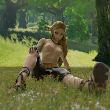 breath of the wild, nintendo, the legend of zelda, princess zelda, zelda (breath of the wild), nextr3d, nsfw1267, areolae, athletic, athletic female, bare calves, blonde hair, blue eyes, breasts, busty