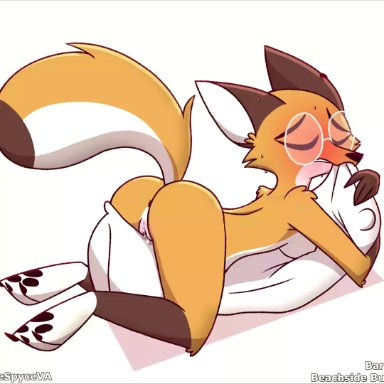 rey (animatedmau), barkyeet, beachside bunnies, 1girls, anthro, anus, ass, blush, breasts, closed eyes, female, female only, fox, furry, glasses