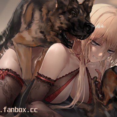 azur lane, bismarck (azur lane), polki, ambiguous penetration, black body, black fur, black nose, blonde hair, blue eyes, brown body, brown fur, canid, canine, canis, clenched teeth