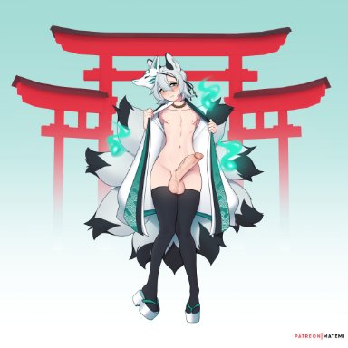 matemi, animal ears, animal mask, big penis, blush, east asian clothing, femboy, footwear, fox ears, fox mask, genitals, girly, glans, grey hair, humanoid