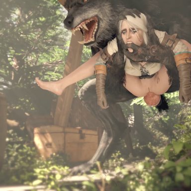 the witcher (series), the witcher 3: wild hunt, ciri, fatcat17, 1girls, 1monster, anal, background noise, barefoot, canine penis, clothed, clothing, forest, forest background, head grab