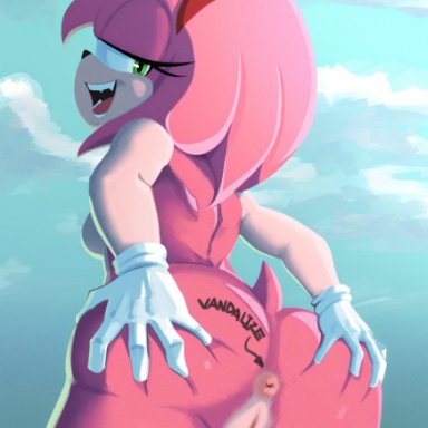 sonic (series), sonic the hedgehog (series), amy rose, monke brush, anus, bubble butt, completely nude, female, female focus, female only, pussy, spread ass, writing on ass