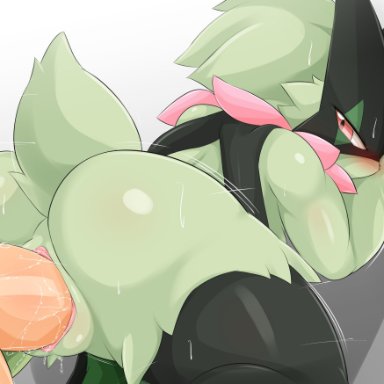 nintendo, pokemon, generation 9 pokemon, meowscarada, pok&#233;mon (species), pokemon (species), type, anthro, anthro penetrated, ass, blush, bodily fluids, duo, female, female penetrated