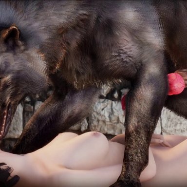 bethesda softworks, skyrim, hamsterzz, 1girls, canine, canine penis, female, knotting, missionary position, vaginal penetration, wolf, zoophilia, 3d, animated, video