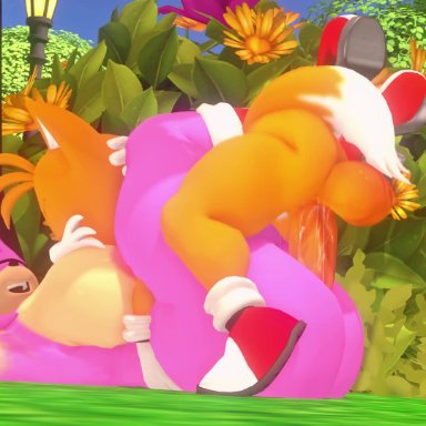 sega, sonic (series), sonic the hedgehog (series), amy rose, miles prower, sonic the hedgehog, tails, tails the fox, leviantan581re, 1girls, 2boys, big ass, big butt, bigger female, female