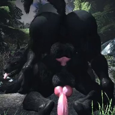 bethesda softworks, skyrim, rayhuma, thesoundeditguy, 2boys, anal, anal sex, animal genitalia, anthro, anthro penetrated, anthro penetrating, anthro penetrating anthro, ass, balls, canid