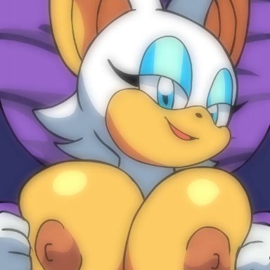 sonic (series), rouge the bat, lueduartv, furry, huge breasts, paizuri, titjob, animated, video