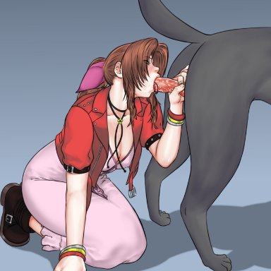 final fantasy, final fantasy vii, aerith gainsborough, tokiwa kensei, 1girls, canine, fellatio, female, feral smegma, smegma, zoophilia, tagme