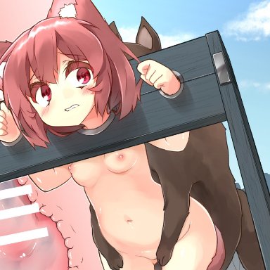 original, animal, animal ear fluff, animal ears, animal penis, ass visible through thighs, bangs, blush, breasts, canine, cat ears, cat girl, cat tail, cross section, day