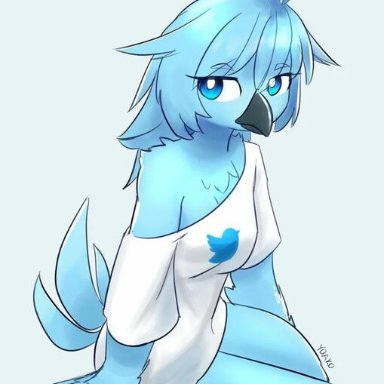 bird, bird girl, light blue body, blue skin, blue hair, black beak, blue eyes, animal tail, tail, blue tail, Gorony, tshirt, white shirt, shirt