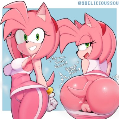 sonic (series), sonic riders, sonic the hedgehog (series), amy rose, delicioussoup, 1girls, anthro, anus, armpits, ass, big ass, bubble butt, cameltoe, clothing, fat ass