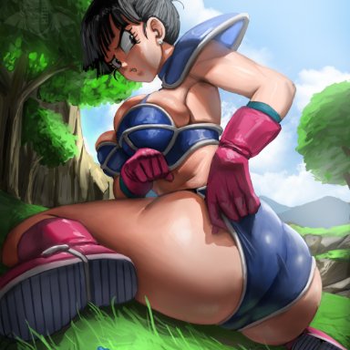 dragon ball, chichi, elitenappa, armor, ass, ass focus, bangs, black hair, blue armor, boots, bra, chichi's armor, frustrated, gloves, grass