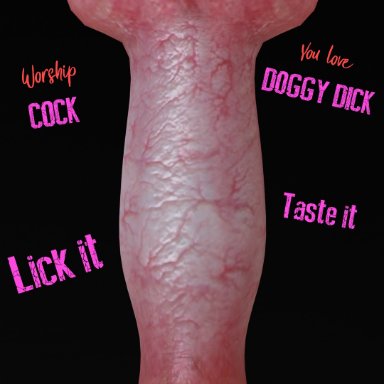 kaylzara, canine, canine penis, cock worship, dog penis, knot, knotted penis, male only, penis, penis focus, zoophilia, 3d, blender, english text