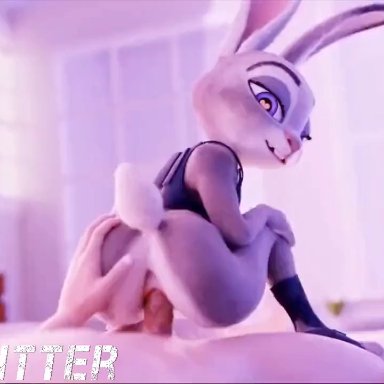 zootopia, judy hopps, furry, human on anthro, leporid, moan, moaning, rabbit, vaginal, vaginal penetration, tagme, video