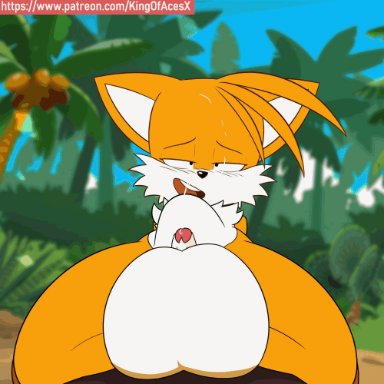 sega, sonic (series), sonic the hedgehog (series), mobian (species), tails, kingofacesx, anal, anal sex, anthro, anthro penetrated, balls, bedroom eyes, big balls, big penis, blush