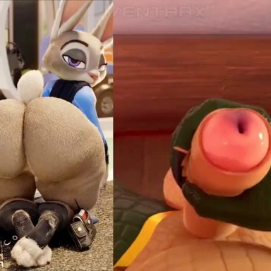 zootopia, judy hopps, 1boy, 1girls, anthro, babecock, cum, cum drip, cum trail, cumshot, exhibitionism, furry, jerking, jerking off, jerkingoff