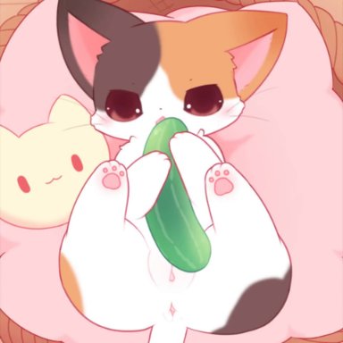 nakimayo, 1girls, anus, basket, bodily fluids, brown eyes, bulge, calico cat, cat, claws, clitoris, container, cub, cucumber, doll