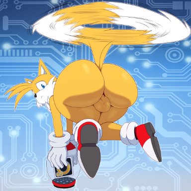 sonic (series), sonic the hedgehog (series), miles prower, tails, tails the fox, bigdon1992, anthro, ass, balls, big ass, big butt, blue eyes, canid, canine, femboy