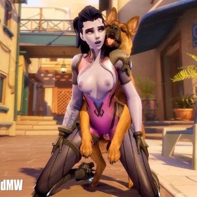 overwatch, widowmaker, eviltoastedmw, 1girls, canine, doggy style, open mouth, purple hair, purple skin, sex, vaginal penetration, zoophilia, animated, sfm, tagme