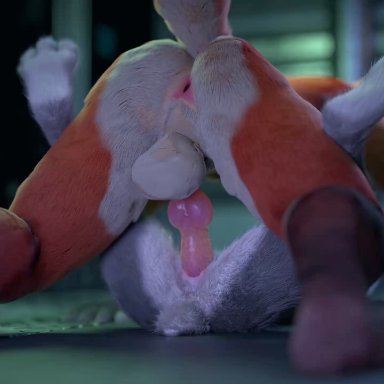 disney, zootopia, judy hopps, nick wilde, twitchyanimation, 1boy, 1girls, anthro, anus, balls, duo, female, female penetrated, flat chest, fox