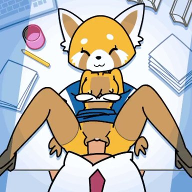 aggressive retsuko, retsuko, minus8, 20 seconds long, :3, anthro, book, bouncing breasts, breasts, closed eyes, clothing, computer, cup, duo, faceless male