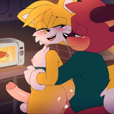 sega, sonic the hedgehog (series), barry (sonic), tails, krazyelf, microwave oven, 2boys, anthro, anthro on anthro, anthro penetrated, anthro penetrating, anthro penetrating anthro, appliance, balls, big penis