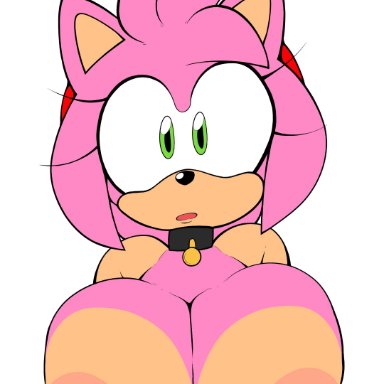 sega, sonic (series), sonic the hedgehog (series), amy rose, 1girl, 1girls, big breasts, big nipples, breasts, breasts out, collar, eulipotyphlan, exposed nipples, female, female only