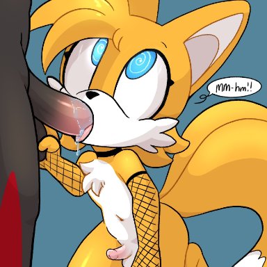 sonic (series), sonic the hedgehog (series), shadow the hedgehog, tails, nekoniku, blowjob, choker, fishnets, hypnosis, male, male/male, male only, malesub, oral, small penis