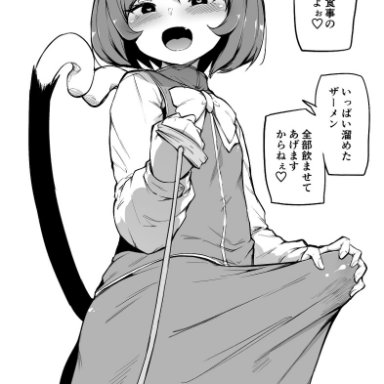 touhou, chen, makin tama, 1futa, animal ears, blush, bow, bulge, cat ears, cat girl, cat tail, clothed, clothes lift, clothing, erection