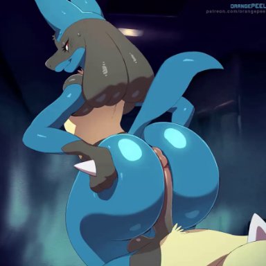 pokemon, lucario, pok&#233;mon (species), orange-peel, anthro, ass, big ass, dat ass, furry, hands on butt, looking back, penis, red eyes, smile, sweat