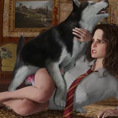 harry potter, hermione granger, nicesfm, 1girls, animal genitalia, brown hair, bulge, canine, canine penis, dog, grinding, growling, gryffindor, hogwarts, interspecies