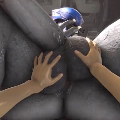 halo (series), microsoft, xbox game studios, sangheili, rayhuma, alien, ambiguous gender, anus, ass, ball fondling, balls, big ass, big balls, big penis, big testicles