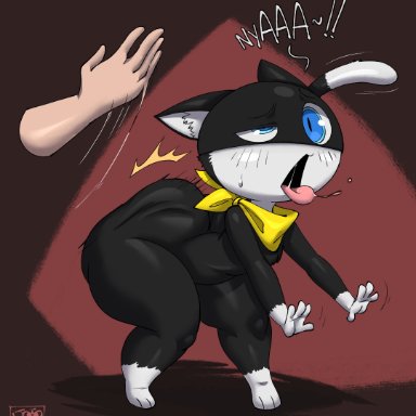 atlus, megami tensei, megami tensei persona, persona, persona 5, morgana (persona), joaoppereiraus, 1boy, anthro, ass, bandana, bedroom eyes, big ass, big butt, black body