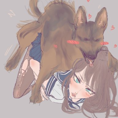 xxpen, 1animal, 1girls, blue eyes, blush, brown hair, doggy style, drooling, female, feral on female, feral on human, feral penetrating, german shepherd, heart-shaped pupils, ripped pantyhose