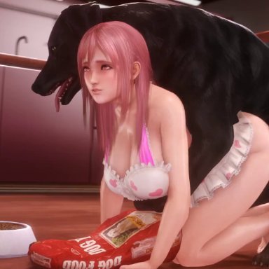 dead or alive, honoka (doa), noname55, 1animal, 1boy, 1girls, apron, ass, big ass, big breasts, big butt, canid, canine, canine on human, canine penis