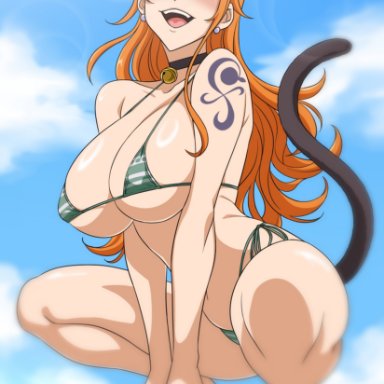 one piece, nami, leon kim, 1girls, beach, big breasts, breasts, busty, cat ears, cat tail, clouds, crouching, curvy, female, female only