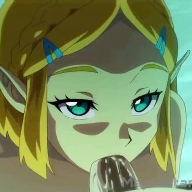 the legend of zelda, link, zelda (breath of the wild), maplestar, blowjob, male/female, nude, oral, penis, straight, animated, high resolution, sound, tagme, video