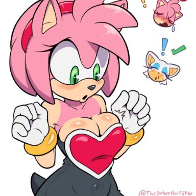 sega, sonic (series), sonic the hedgehog (series), amy rose, rouge the bat, rouge the bat (cosplay), the other half, tohdraws, !, ?, 2girls, anthro, anthro only, big breasts, blush