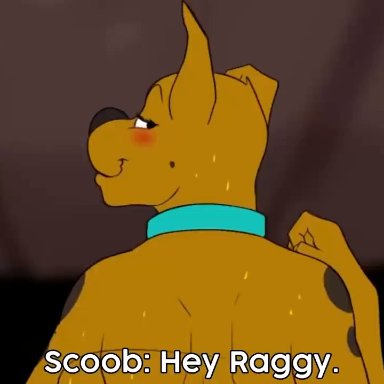 hanna-barbera, scooby-doo, warner brothers, scooby-doo (character), shaggy rogers, aromatic hyena, 1boy, 1girls, ahe gao, anal, anthro, ass clapping, cum, cum in ass, cum inside