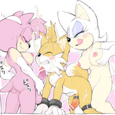 sonic (series), amy rose, rouge the bat, tails, erosuke, 1boy, 2futas, anal, anthro, balls, bat, belly, belly button, belt, breasts