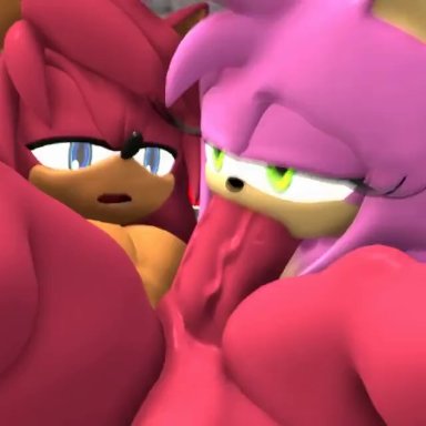 sega, sonic (series), sonic adventure, sonic the hedgehog (series), ace (blackchaos64), amy rose, oc, original character, wave the swallow, blackchaos64, big ass, big breasts, blowjob, blowjob face, carrying